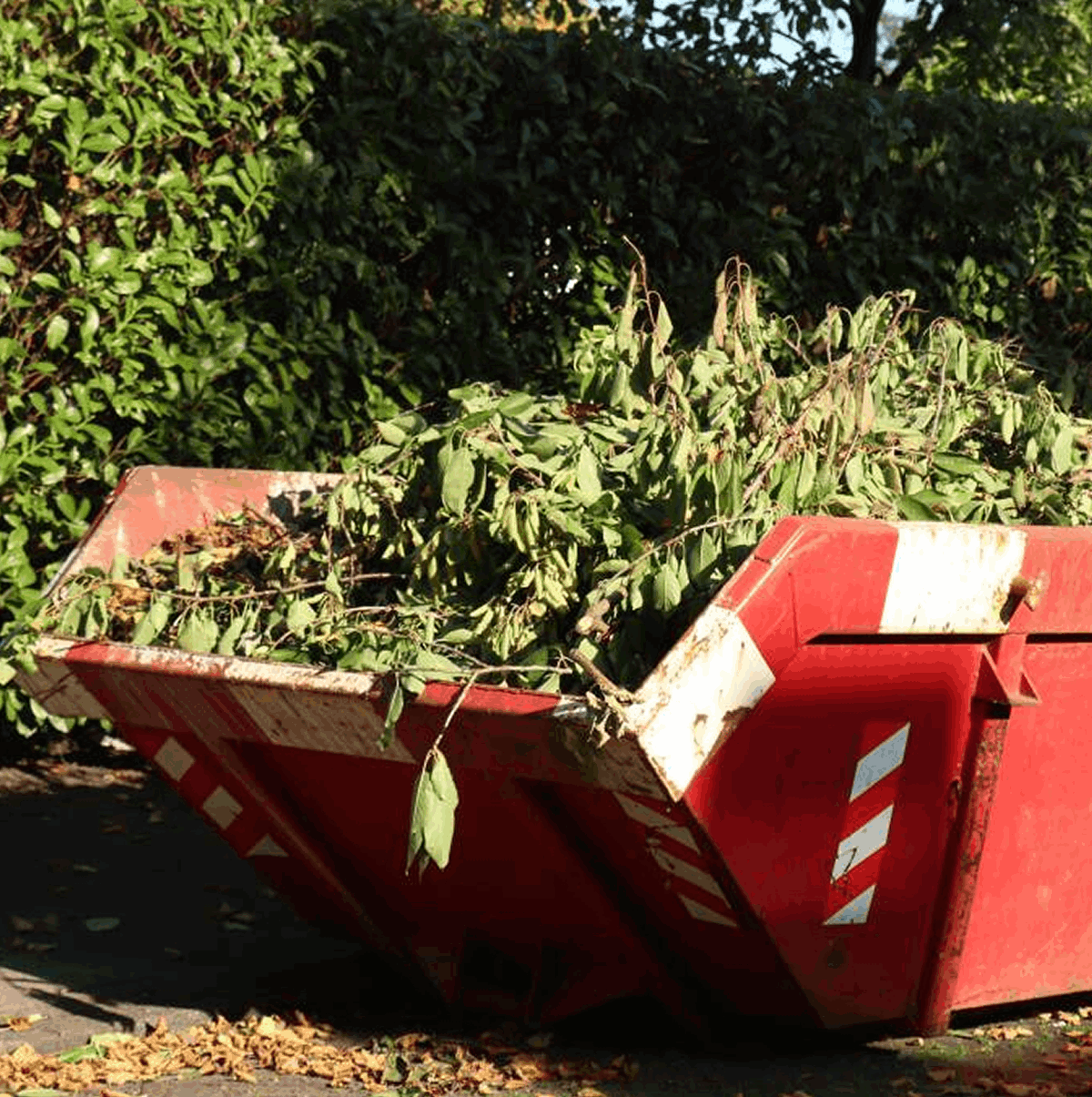 Premier London Skip Hire | Skips in London